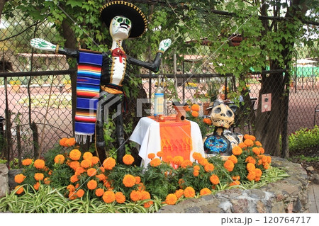 メキシコ「死者の日」年に一度のメキシコのお祭り リメンバーミーの世界とタコス満喫旅 メキシコ「死者の日」年に一度のメキシコのお祭り リメンバーミーの世界とタコス満喫旅 120764717