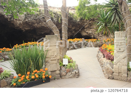 メキシコ「死者の日」年に一度のメキシコのお祭り　リメンバーミーの世界とタコス満喫旅 120764718