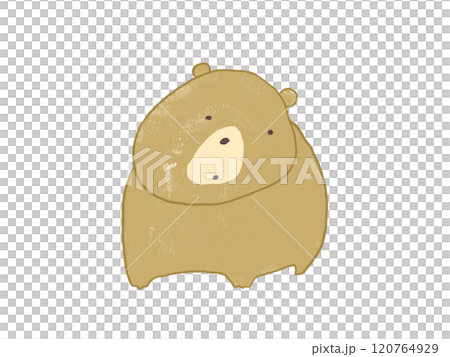 熊盯著某物 熊盯著某物 120764929