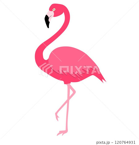Pink flamingo on one leg. Pink flamingo on one leg. 120764931