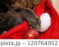 クリスマスオーナメントを前に横になってまったりと過ごす猫の手（目をつぶっている） 120764952