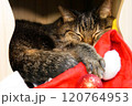 クリスマスオーナメントを前に横になってまったりと過ごす猫 120764953