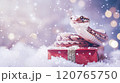 Banner with cute snake on gift box and bokeh background. Symbol of New Year 2025 120765750