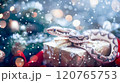 Banner with cute snake on gift box and bokeh background. Symbol of New Year 2025 120765753