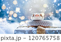 Banner with cute snake on gift box and bokeh background. Symbol of New Year 2025 120765758