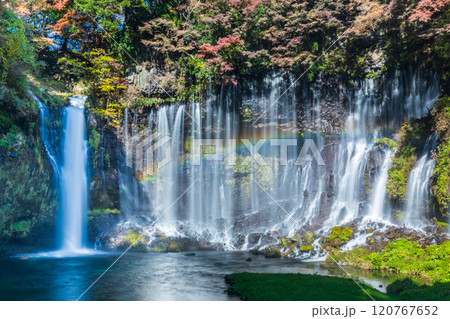 「静岡県」紅葉に囲まれた白糸の滝 120767652