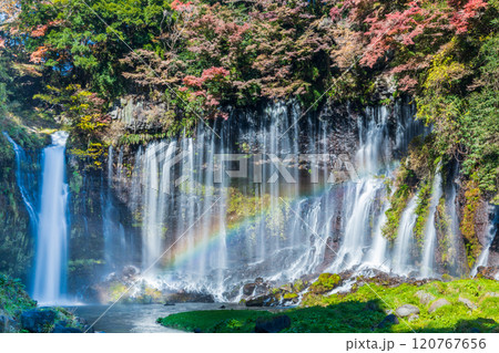 「静岡県」紅葉に囲まれた白糸の滝 120767656