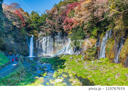 「静岡県」紅葉に囲まれた白糸の滝 「静岡県」紅葉に囲まれた白糸の滝 120767659