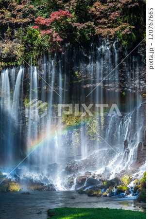 「静岡県」紅葉に囲まれた白糸の滝と富士山 120767665