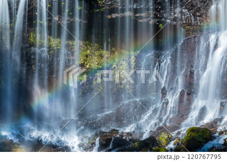 「静岡県」白糸の滝にかかる虹・秋 120767795
