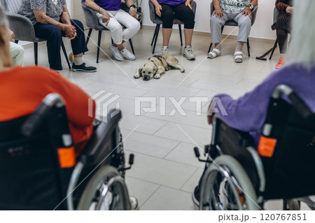 Group of elderly people in a nursing home spending time with their friendly dog. 120767851