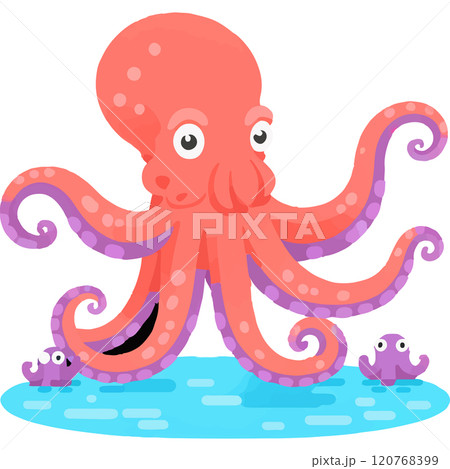 Octopus Marine Environment Marinebiology Animal 120768399