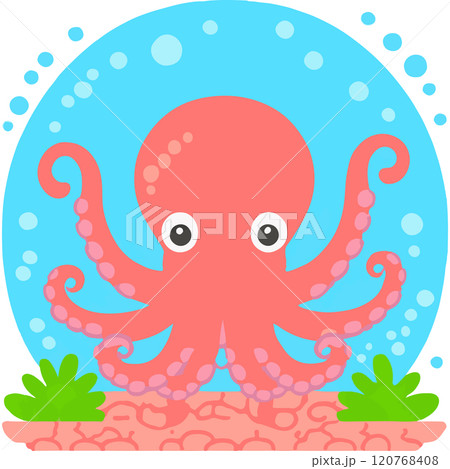Octopus Marinebiology Tentacles Research Animal 120768408