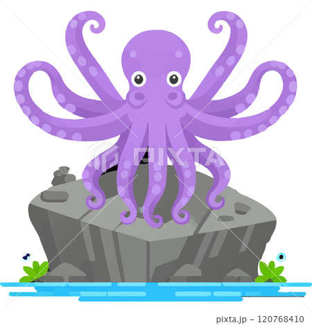 Octopus Marine Prey Ocean Diversity Octopus Marine Prey Ocean Diversity 120768410
