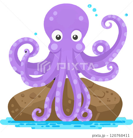 Behavior Marine Tentacles Environment Animal 120768411