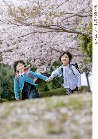 桜の咲く公園を歩く小学生たち 120768746