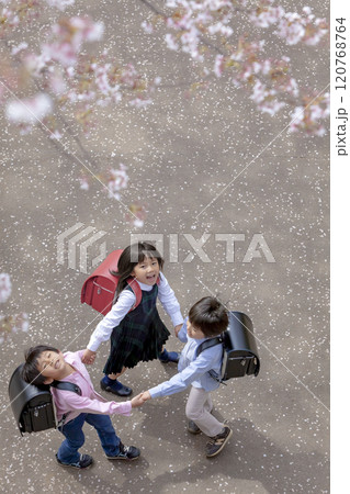 桜の咲く公園で遊ぶ小学生たち 120768764