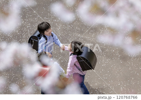 桜の咲く公園で遊ぶ小学生たち 120768766