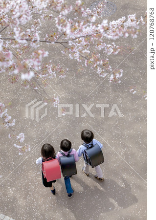 桜の咲く公園を歩く小学生たちの後ろ姿 120768768