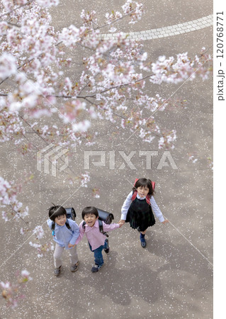 桜の咲く公園を歩く小学生たち 120768771