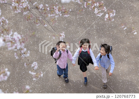 桜の咲く公園を歩く小学生たち 120768773