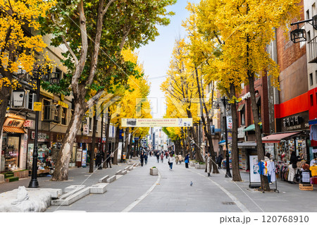 秋のソウル インサドン(仁寺洞)のメインストリート 秋のソウル インサドン(仁寺洞)のメインストリート 120768910