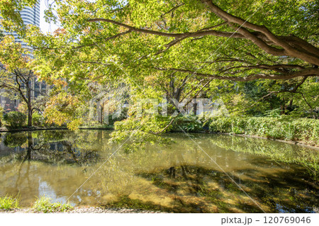 清水谷公園　東京都千代田区紀尾井町 120769046