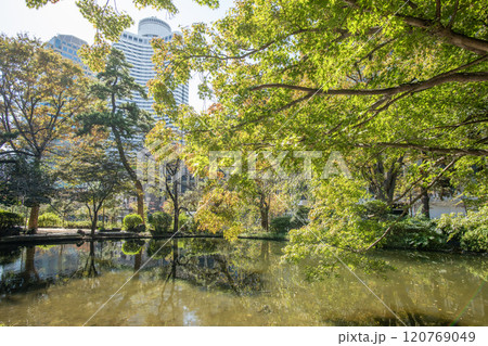 清水谷公園 東京都千代田区紀尾井町 清水谷公園 東京都千代田区紀尾井町 120769049