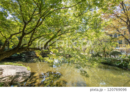清水谷公園 東京都千代田区紀尾井町 清水谷公園 東京都千代田区紀尾井町 120769096