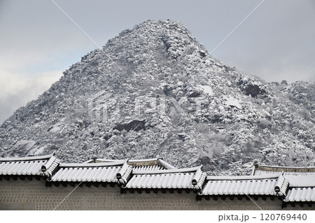 Winter in Seoul with Snow Winter in Seoul with Snow 120769440