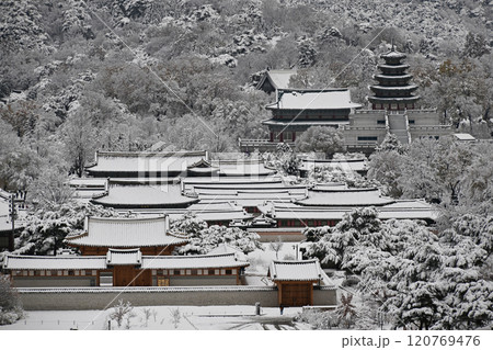 Winter in Seoul with Snow Winter in Seoul with Snow 120769476