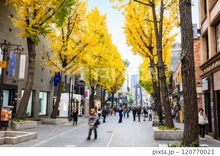 秋のソウル インサドン(仁寺洞)のメインストリート 秋のソウル インサドン(仁寺洞)のメインストリート 120770021