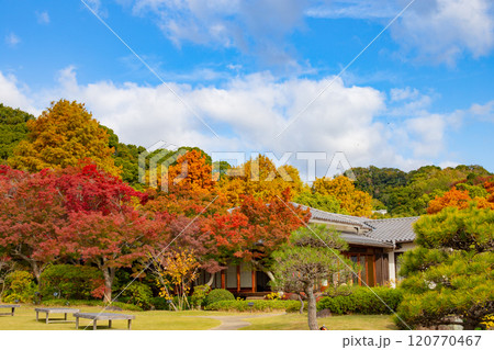 神戸・須磨離宮公園の日本庭園と紅葉 神戸・須磨離宮公園の日本庭園と紅葉 120770467