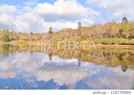 水面に映るシンメトリーの景色 水面に映るシンメトリーの景色 120770969
