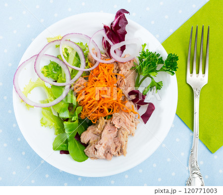 Top view of salad with carrot, canned tuna, onion 120771003