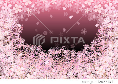 桜　春　風景　背景 120771311