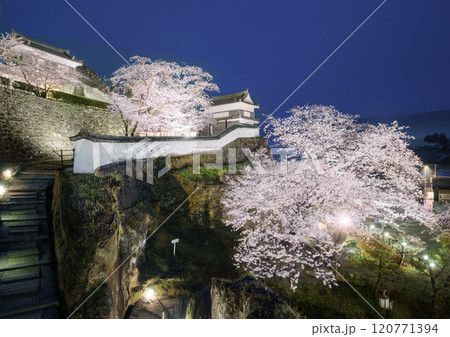 臼杵城の夜桜 120771394
