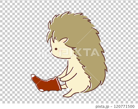 Illustration of a hedgehog putting on socks 120771500
