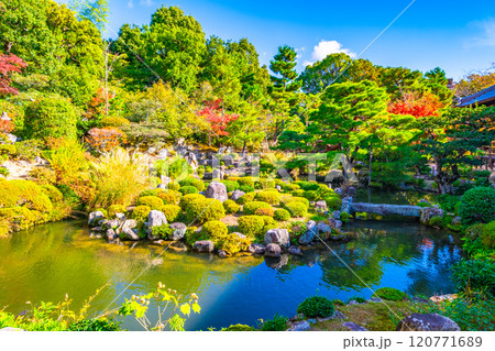 京都の秋 等持院の庭園 120771689