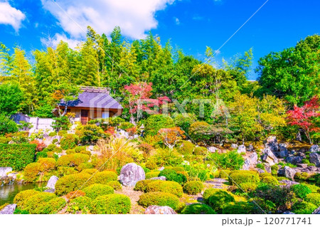 京都の秋 等持院の庭園 120771741