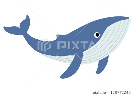 クジラのイラスト クジラのイラスト 120772249