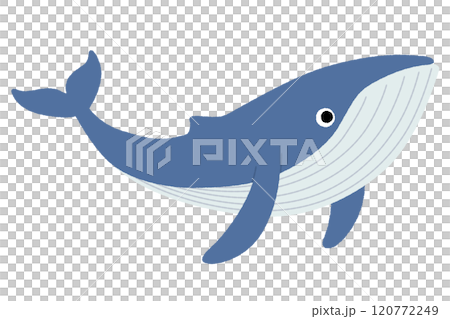クジラのイラスト クジラのイラスト 120772249