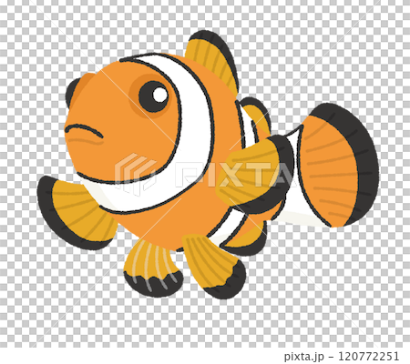 小丑魚的插圖 120772251