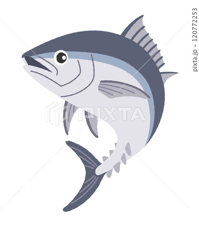 マグロのイラスト マグロのイラスト 120772253