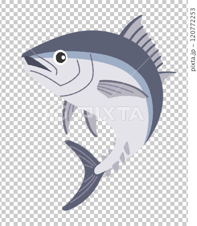 金槍魚的插圖 120772253