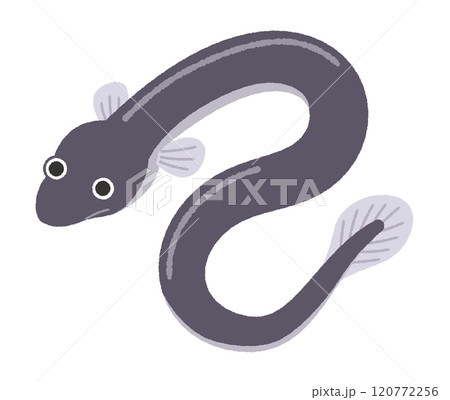 うなぎのイラスト 120772256