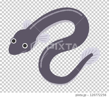 うなぎのイラスト 120772256
