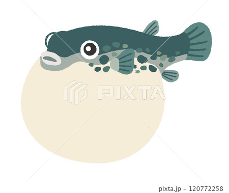 ふぐのイラスト ふぐのイラスト 120772258