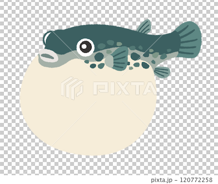 河豚的插圖 120772258