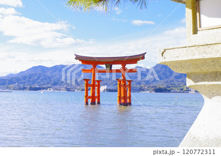 世界遺産・厳島神社の大鳥居 世界遺産・厳島神社の大鳥居 120772311